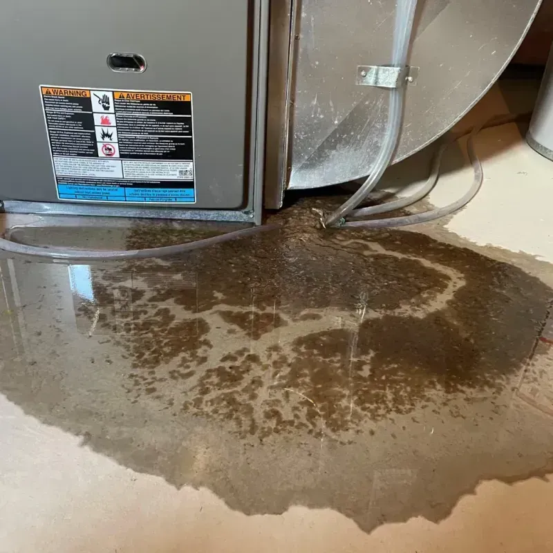 Appliance Leak Cleanup in Sorrento, LA